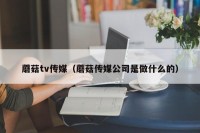 蘑菇tv传媒（蘑菇传媒公司是做什么的）
